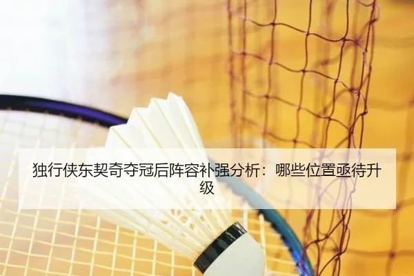 独行侠东契奇夺冠后阵容补强分析：哪些位置亟待升级 | www.hth.com